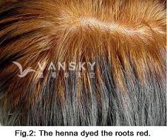 230713161234_Hair-Dying with henna-s.jpg